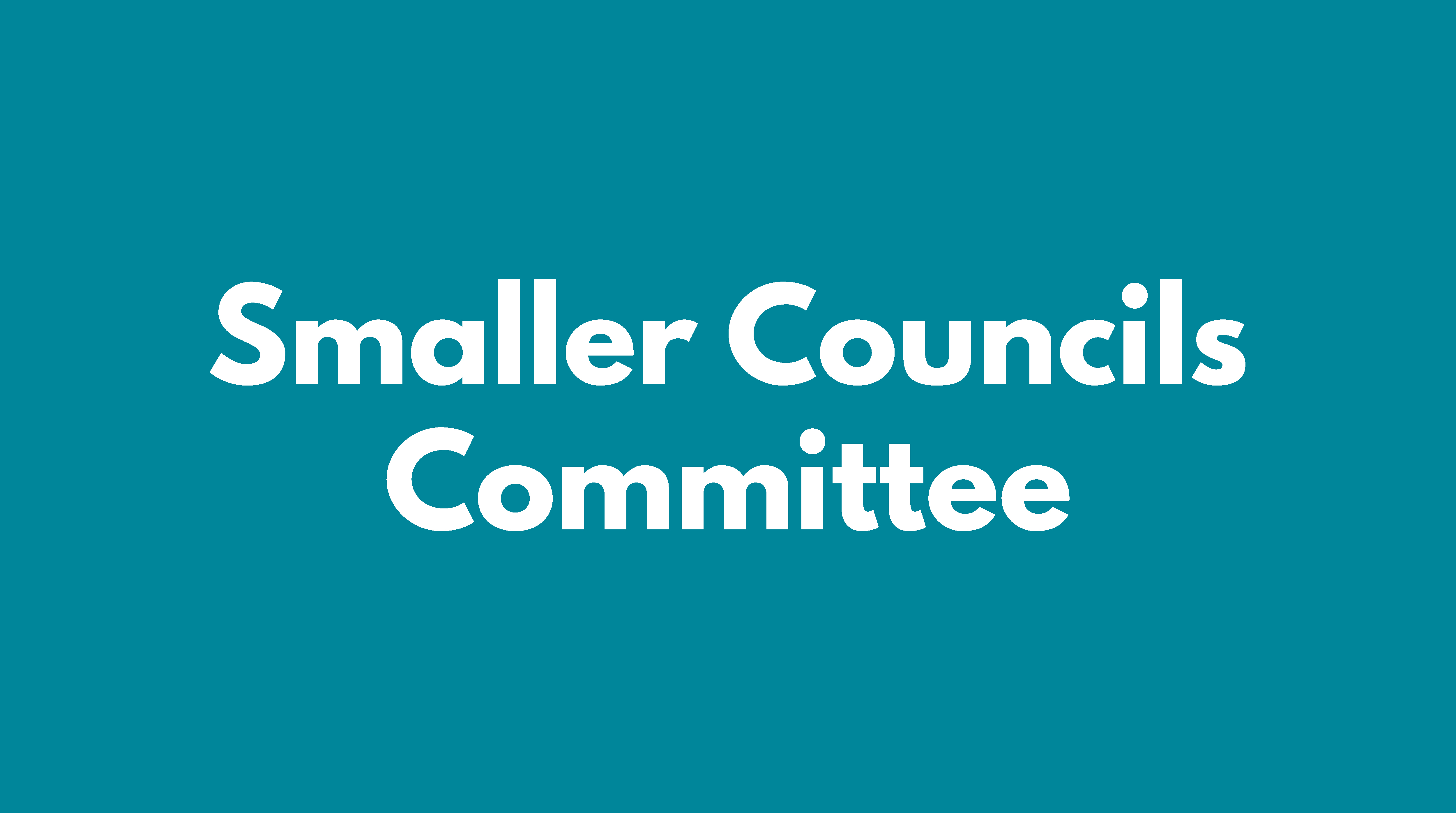 smaller-councils-committee