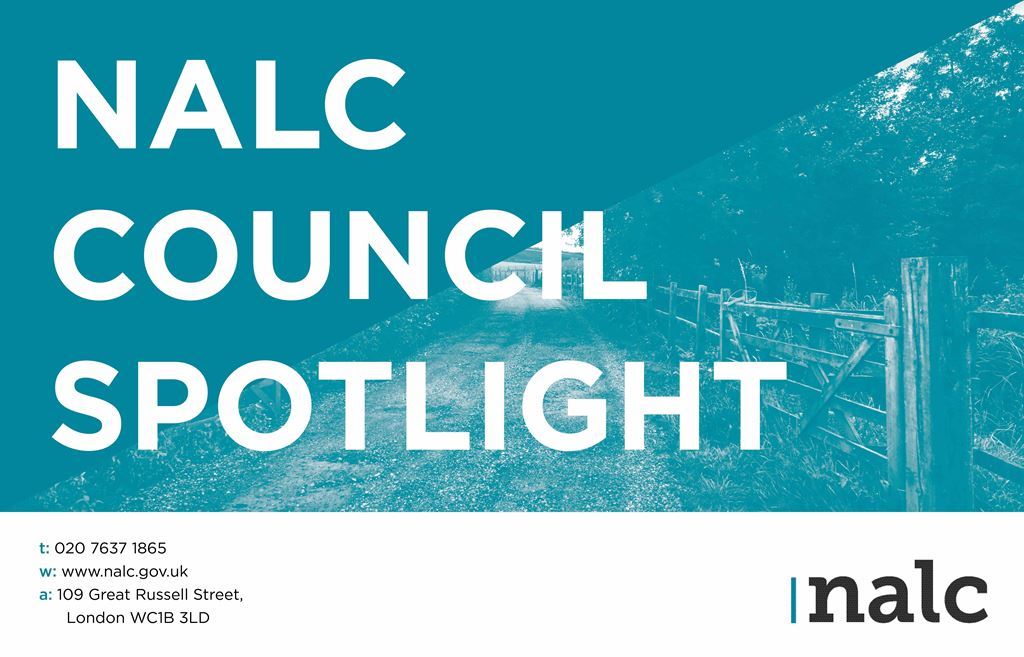 council-spotlight-cover-image-low