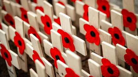 remeberence poppy grave stones