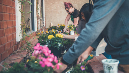 community planting.jpg