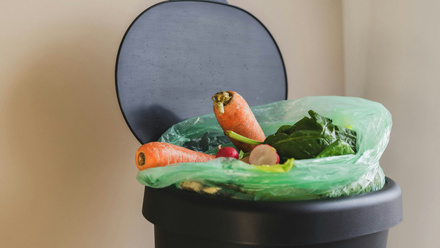 food waste in bin