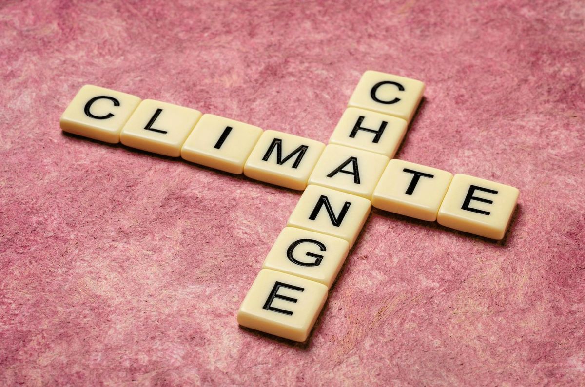 NALC to speak on empowering local councils in tackling climate change