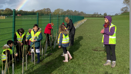 Tree Planting Owestry. jpg
