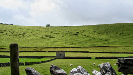 green land 2