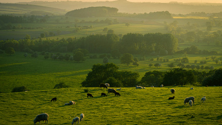 countryside yorkshire