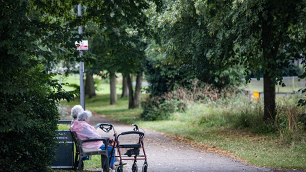 elderly on the bench